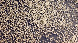 Zirblast, surface treatment