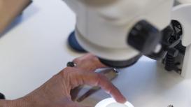 Innovation in Saint Gobain