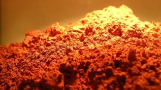 pigment