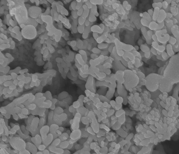 Monoclinic Zirconia | Zirpro