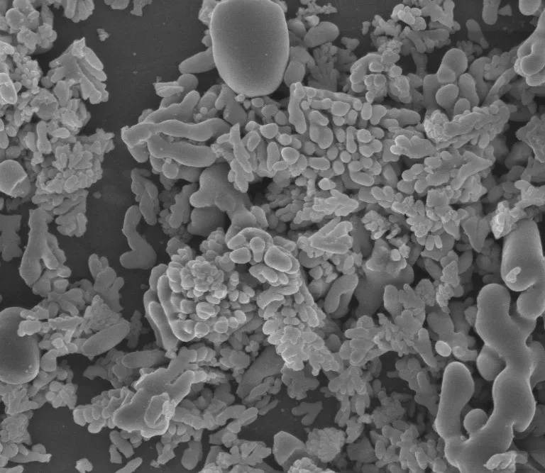 Powder picture structure